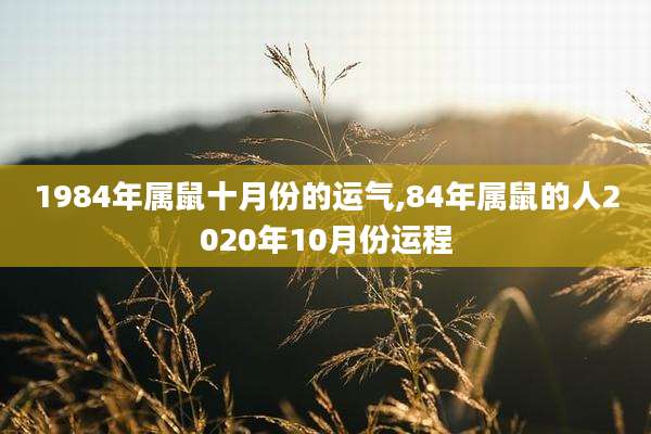 1984年属鼠十月份的运气,84年属鼠的人2020年10月份运程