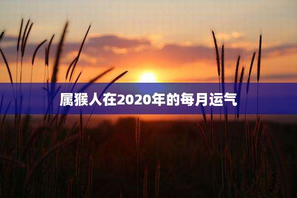 属猴人在2020年的每月运气