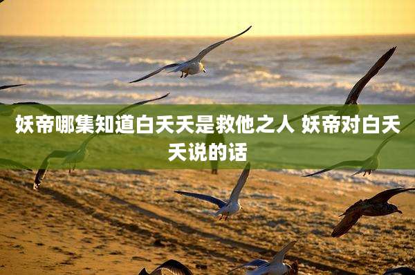 妖帝哪集知道白夭夭是救他之人 妖帝对白夭夭说的话