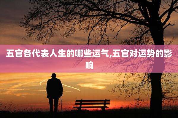 五官各代表人生的哪些运气,五官对运势的影响