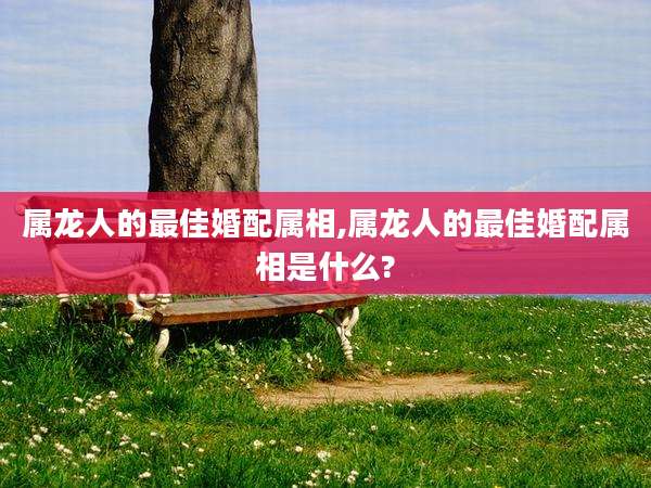 属龙人的最佳婚配属相,属龙人的最佳婚配属相是什么?