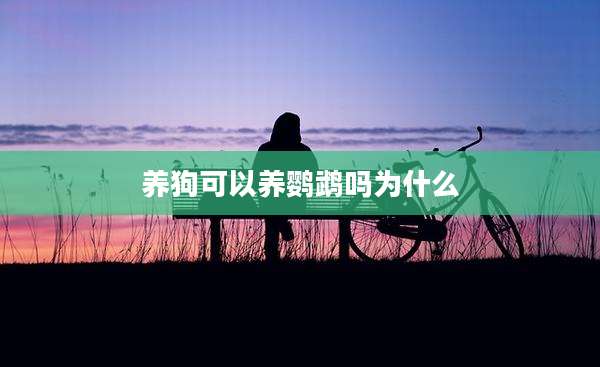 养狗可以养鹦鹉吗为什么