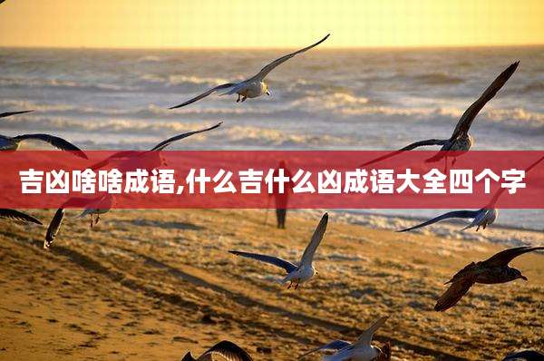 吉凶啥啥成语,什么吉什么凶成语大全四个字