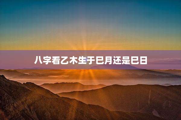 八字看乙木生于巳月还是巳日