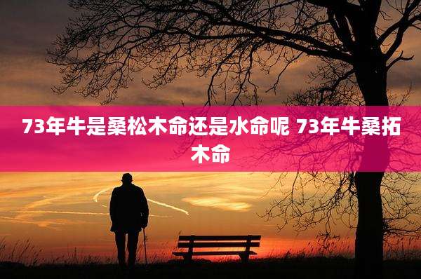 73年牛是桑松木命还是水命呢 73年牛桑拓木命