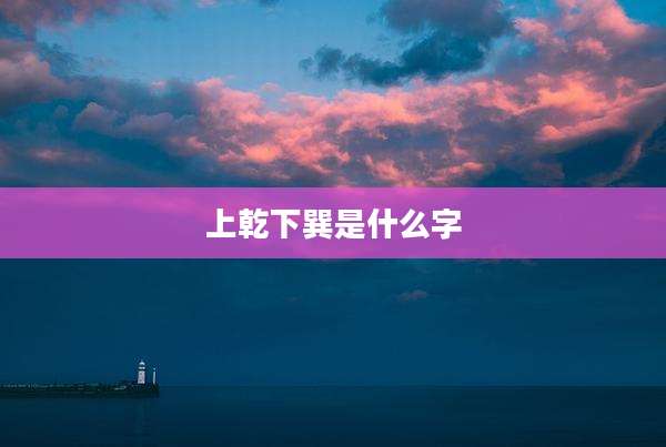 上乾下巽是什么字