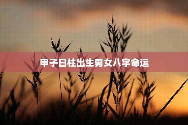甲子日柱出生男女八字命运