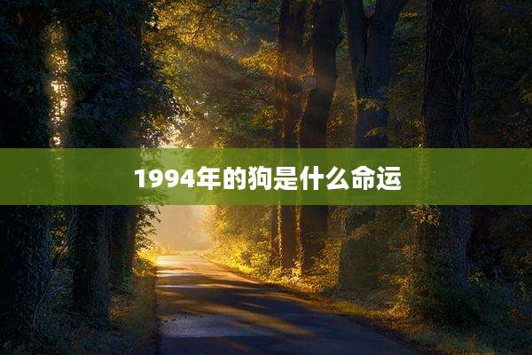 1994年的狗是什么命运
