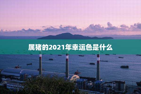 属猪的2021年幸运色是什么