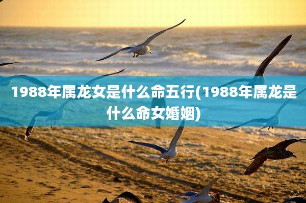 1988年属龙女是什么命五行(1988年属龙是什么命女婚姻)