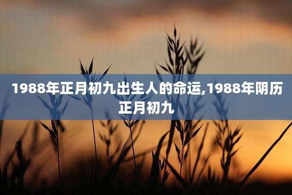 1988年正月初九出生人的命运,1988年阴历正月初九