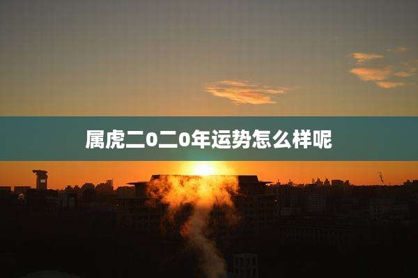 属虎二0二0年运势怎么样呢
