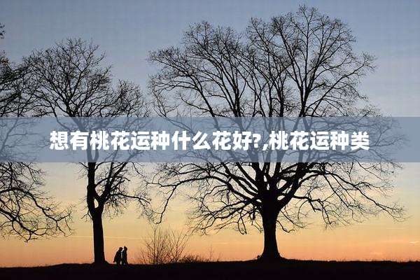 想有桃花运种什么花好?,桃花运种类