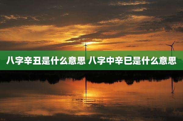 八字辛丑是什么意思 八字中辛巳是什么意思