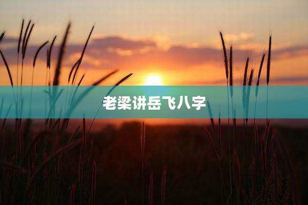 老梁讲岳飞八字