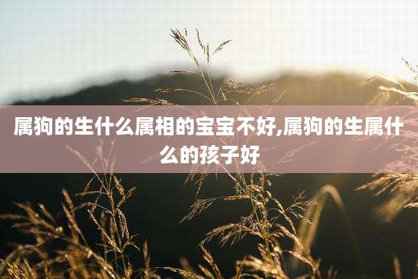 属狗的生什么属相的宝宝不好,属狗的生属什么的孩子好