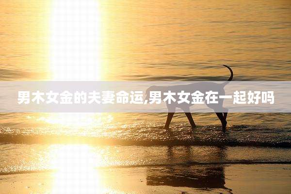 男木女金的夫妻命运,男木女金在一起好吗