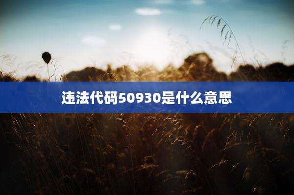 违法代码50930是什么意思