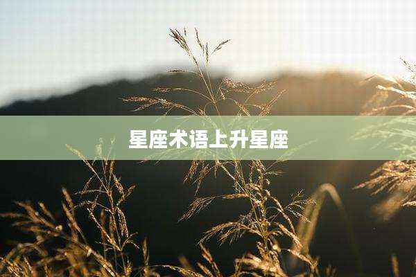 星座术语上升星座