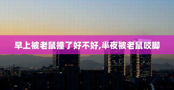 早上被老鼠撞了好不好,半夜被老鼠咬脚