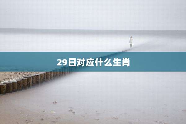 29日对应什么生肖