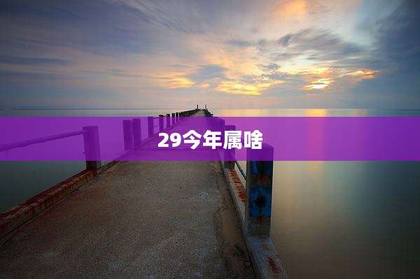 29今年属啥