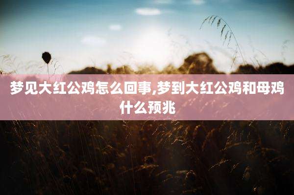 梦见大红公鸡怎么回事,梦到大红公鸡和母鸡什么预兆