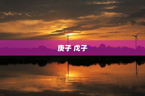 庚子 戊子