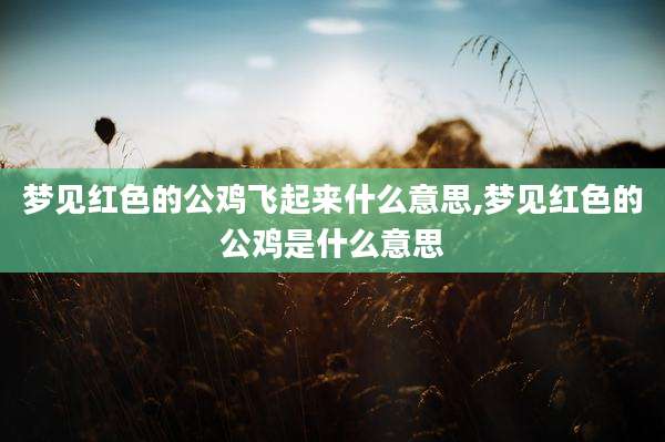 梦见红色的公鸡飞起来什么意思,梦见红色的公鸡是什么意思