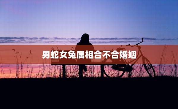 男蛇女兔属相合不合婚姻