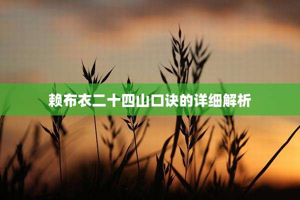 赖布衣二十四山口诀的详细解析