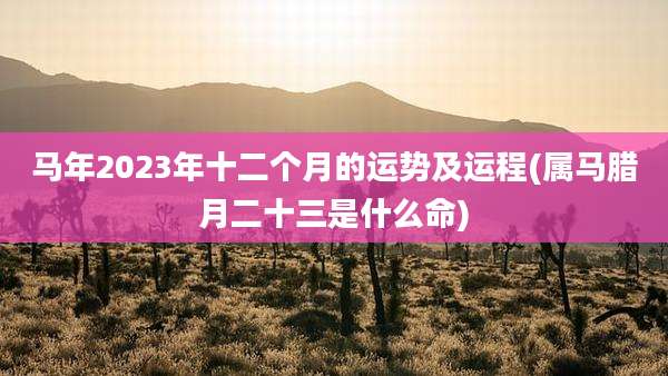马年2023年十二个月的运势及运程(属马腊月二十三是什么命)