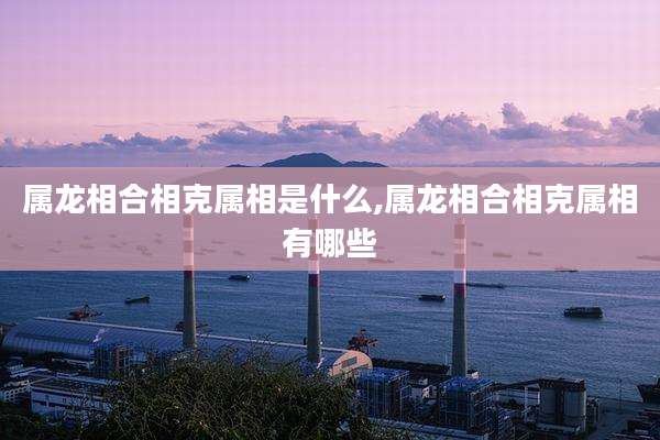 属龙相合相克属相是什么,属龙相合相克属相有哪些