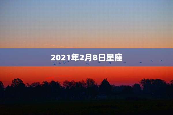 2021年2月8日星座