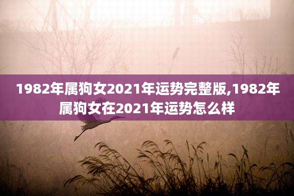 1982年属狗女2021年运势完整版,1982年属狗女在2021年运势怎么样