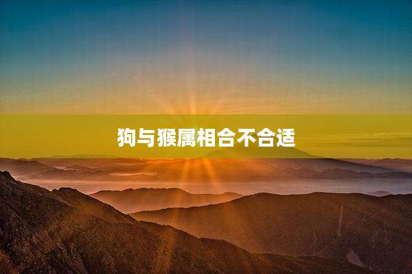狗与猴属相合不合适