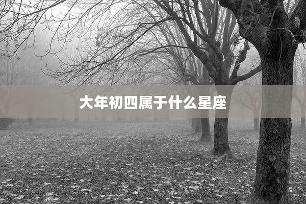 大年初四属于什么星座