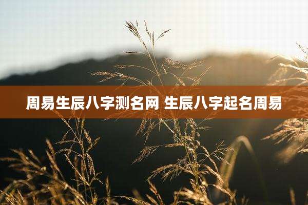 周易生辰八字测名网 生辰八字起名周易