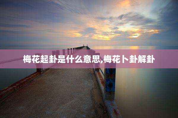 梅花起卦是什么意思,梅花卜卦解卦