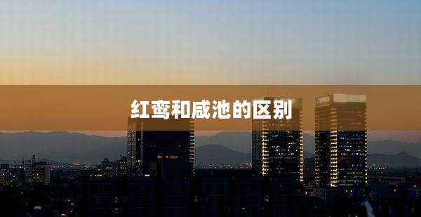 红鸾和咸池的区别