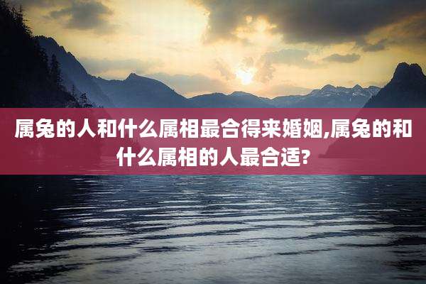 属兔的人和什么属相最合得来婚姻,属兔的和什么属相的人最合适?