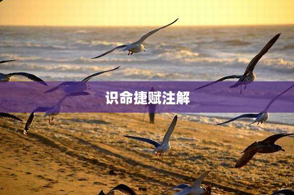 识命捷赋注解