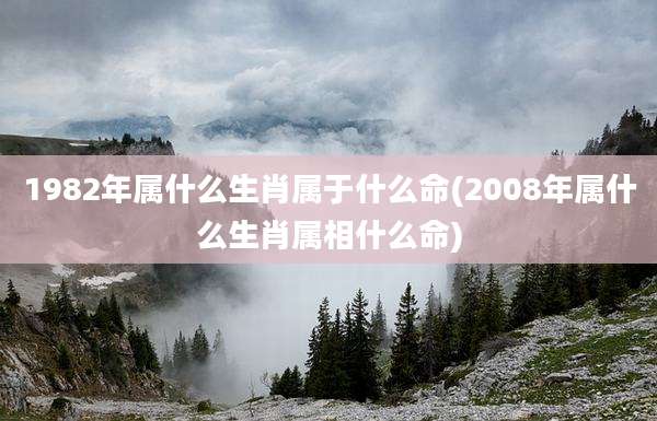 1982年属什么生肖属于什么命(2008年属什么生肖属相什么命)