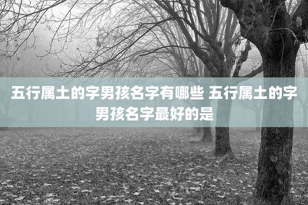 五行属土的字男孩名字有哪些 五行属土的字男孩名字最好的是