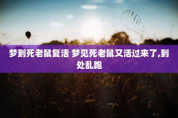 梦到死老鼠复活 梦见死老鼠又活过来了,到处乱跑