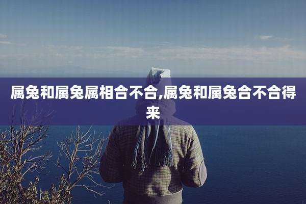 属兔和属兔属相合不合,属兔和属兔合不合得来
