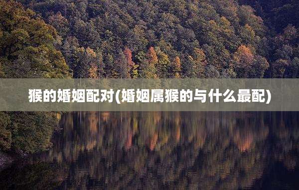 猴的婚姻配对(婚姻属猴的与什么最配)