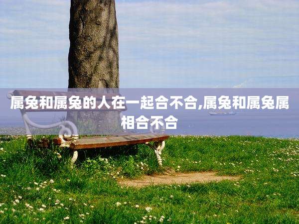 属兔和属兔的人在一起合不合,属兔和属兔属相合不合
