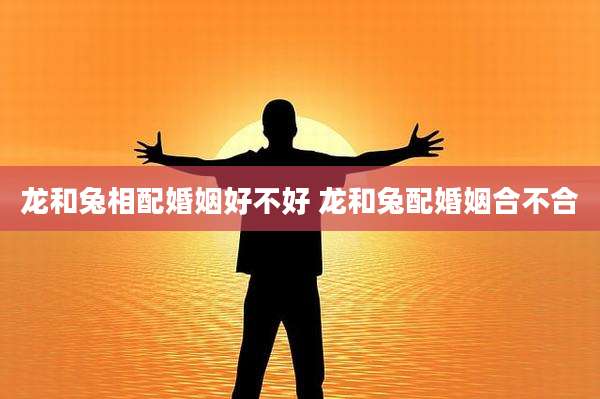 龙和兔相配婚姻好不好 龙和兔配婚姻合不合