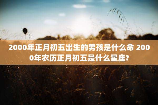 2000年正月初五出生的男孩是什么命 2000年农历正月初五是什么星座?